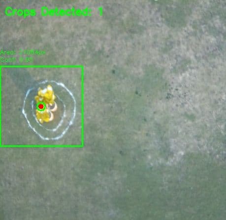 Detection